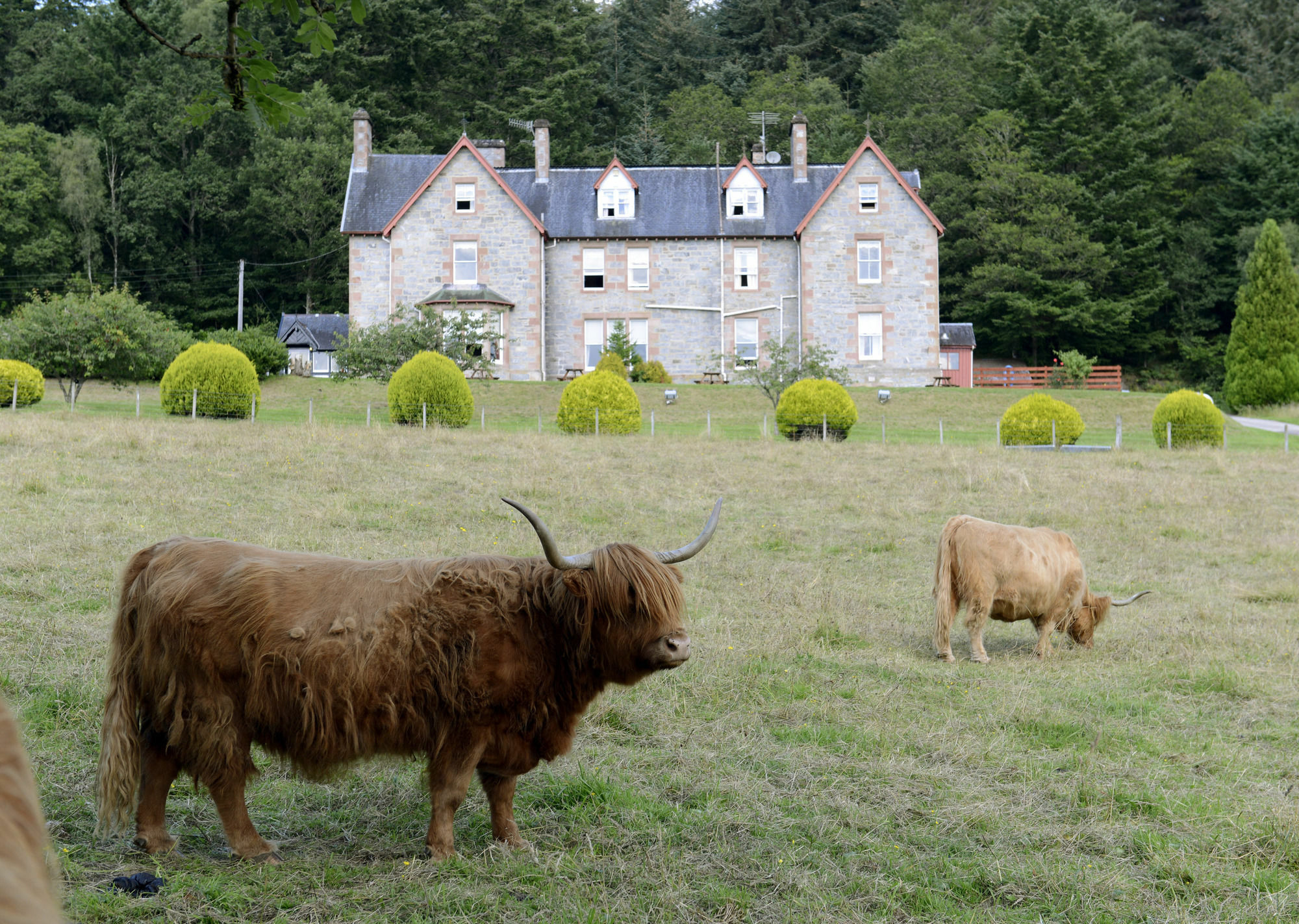 Inch Hotel Fort Augustus Dış mekan fotoğraf